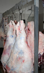 Ağdamda Qurban Bayramı qeyd edilib