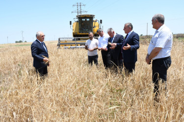 Ağdam Rayon İcra Hakimiyyətinin başçısı Vaqif Həsənov rayon ərazisində arpa sahəsində biçin işlərinin gedişi ilə tanış olub