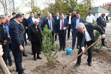 Ağdamda “Konstitusiya və Suverenlik İli” çərçivəsində 8 Noyabr-Zəfər Gününə həsr olunmuş ağacəkmə aksiyası təşkil edilib