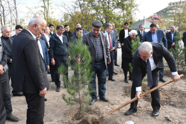 Ağdamda “Konstitusiya və Suverenlik İli” çərçivəsində 8 Noyabr-Zəfər Gününə həsr olunmuş ağacəkmə aksiyası təşkil edilib