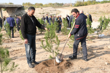 Ağdamda “Konstitusiya və Suverenlik İli” çərçivəsində 8 Noyabr-Zəfər Gününə həsr olunmuş ağacəkmə aksiyası təşkil edilib