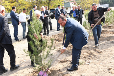 Ağdamda “Konstitusiya və Suverenlik İli” çərçivəsində 8 Noyabr-Zəfər Gününə həsr olunmuş ağacəkmə aksiyası təşkil edilib