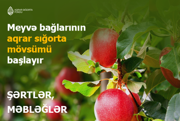 Azərbaycanda meyvə bağlarının aqrar sığortası mövsümü başlayır