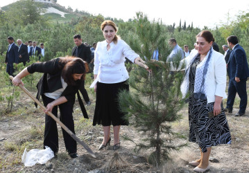 Ağdamda 27 Sentyabr – Anım Günü ilə əlaqədar ağacəkmə aksiyası təşkil olunub