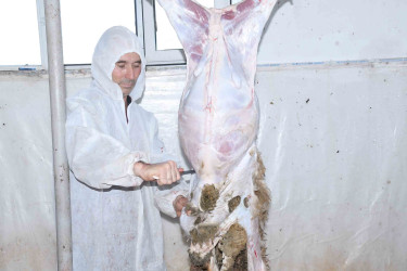 Ağdamda müqəddəs Qurban Bayramı qeyd olunub
