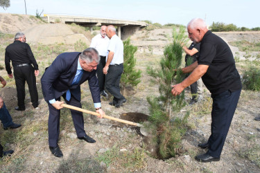 Ağdamda 27 Sentyabr – Anım Günü ilə əlaqədar ağacəkmə aksiyası təşkil olunub