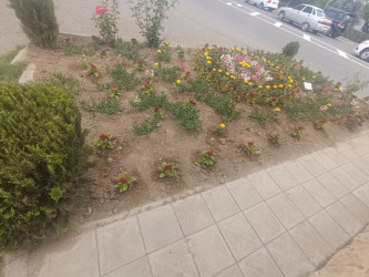 Ağdamda “Şəhərsalma və Memarlıq İli” çərçivəsində abadlıq işləri həyata keçirilib
