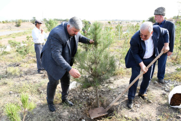 Ağdamda 27 Sentyabr – Anım Günü ilə əlaqədar ağacəkmə aksiyası təşkil olunub
