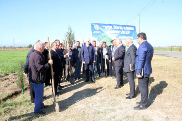 "Yaşıl dünya naminə həmrəylik ili" çərçivəsində Ağdam rayonunda ağacəkmə aksiyası keçirilib