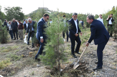 Ağdamda 27 Sentyabr – Anım Günü ilə əlaqədar ağacəkmə aksiyası təşkil olunub