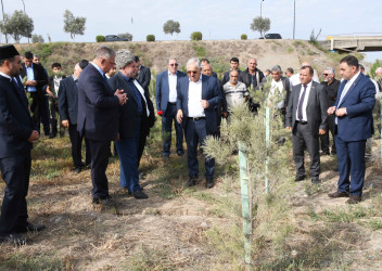 Ağdamda 27 Sentyabr – Anım Günü ilə əlaqədar ağacəkmə aksiyası təşkil olunub