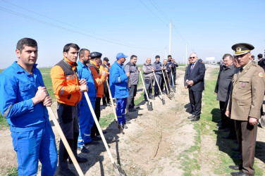 Ağdamda “Heydər Əliyev” ili çərçivəsində ağacəkmə aksiyası keçirilib