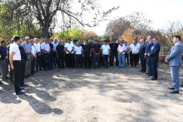 Ağdam rayonunun Paşabəyli kəndində yeni subartezian quyusu istifadəyə verilib.
