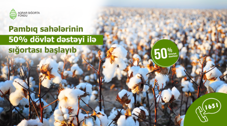 Fermerlərin nəzərinə: Pambıq sahələrinin sığortalanması prosesinə start verilir