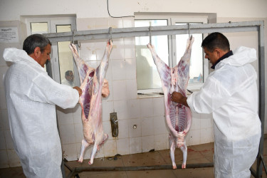 Ağdamda Qurban Bayramı qeyd edilib