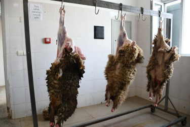 Ağdamda Qurban Bayramı qeyd edilib