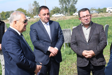 Ağdam rayonunda 2026-cı ilin pambıq yığımı mövsümünə start verilib