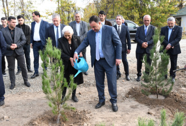Ağdamda “Konstitusiya və Suverenlik İli” çərçivəsində 8 Noyabr-Zəfər Gününə həsr olunmuş ağacəkmə aksiyası təşkil edilib