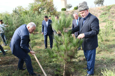Ağdamda 27 Sentyabr – Anım Günü ilə əlaqədar ağacəkmə aksiyası təşkil olunub